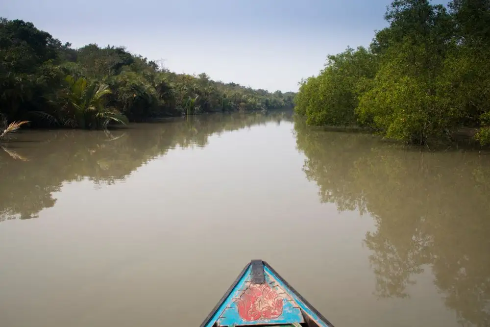 Customize sundarban tour