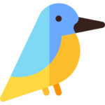 Kingfishers & Birds