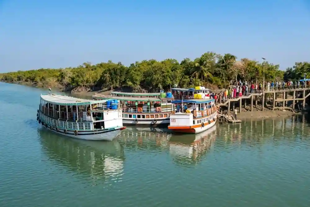 Tourists boarding Sundarban boats at jetty during winter travel season