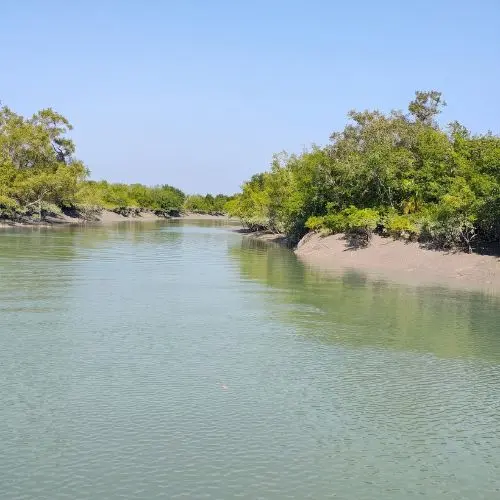 Bonbibi Bharani sacred forest area in Sundarban mangrove region