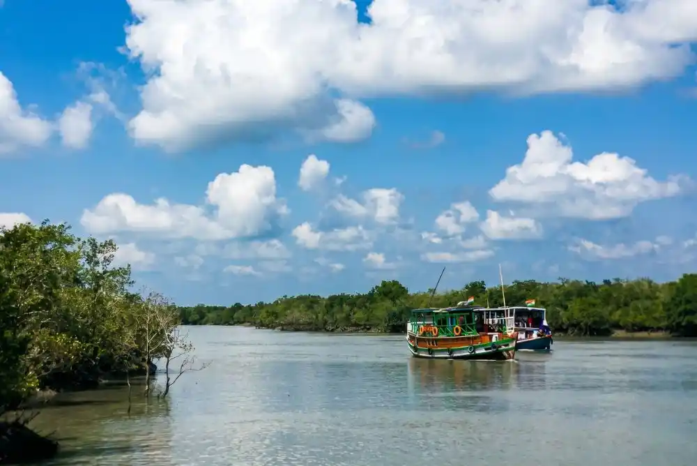 Boat safari in Sundarban river under clear blue sky during winter travel season