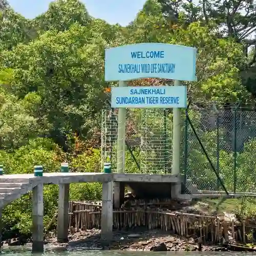 Sajnekhali Watch Tower inside Sundarban mangrove forest during wildlife safari experience