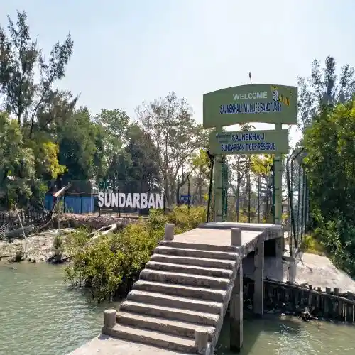 Sajnekhali Watch Tower inside Sundarban mangrove forest during jungle safari