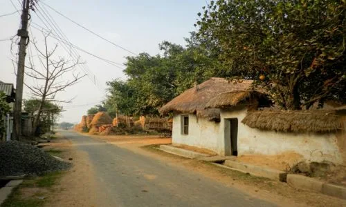 Traditional village life and rural cultural experience near Shantiniketan