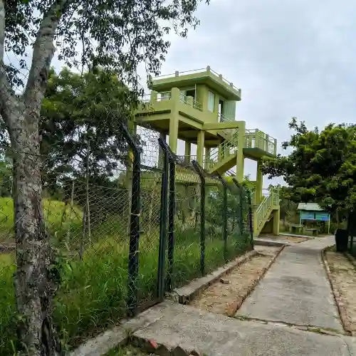 Sudhanyakhali Watch Tower surrounded by dense Sundarban mangrove forest area