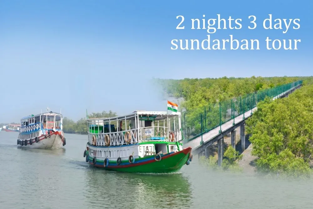 Sundarban canopy walk and tourist boat safari inside mangrove forest river sundarban tour 2 nights 3 days​