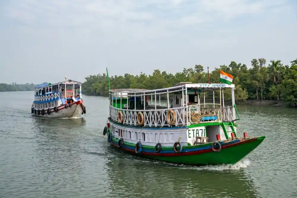 Two safari boats cruising through beautiful Sundarban mangrove river during jungle tour