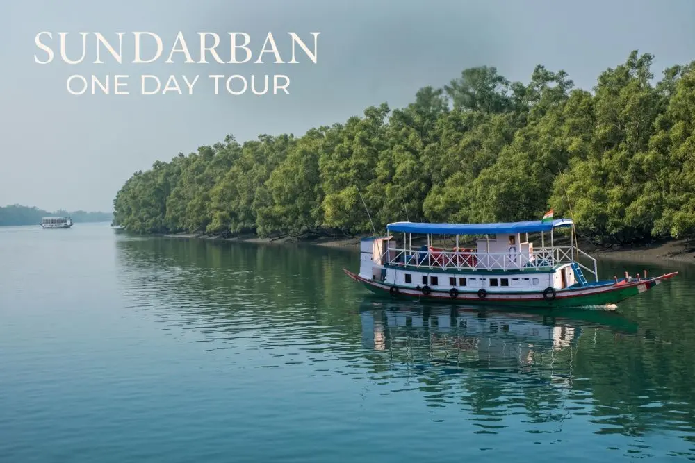 Sundarban one day tour boat safari on river with dense jungle forest