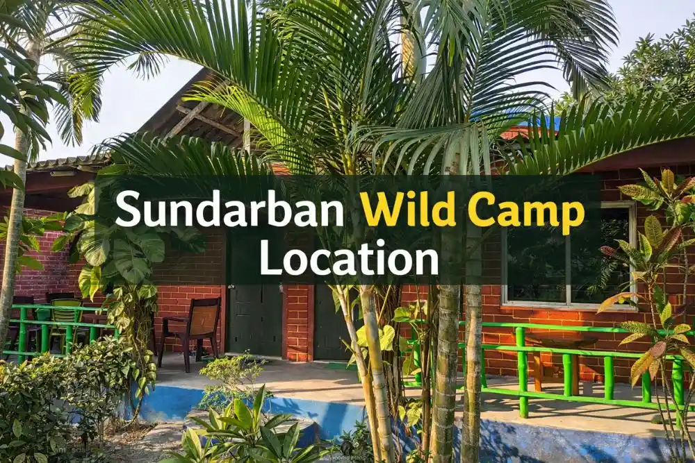 Where is sundarban wild camp ? location guide for travelers