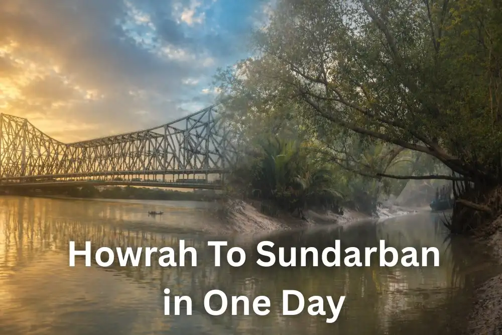 sundarban one day tour from hawrah