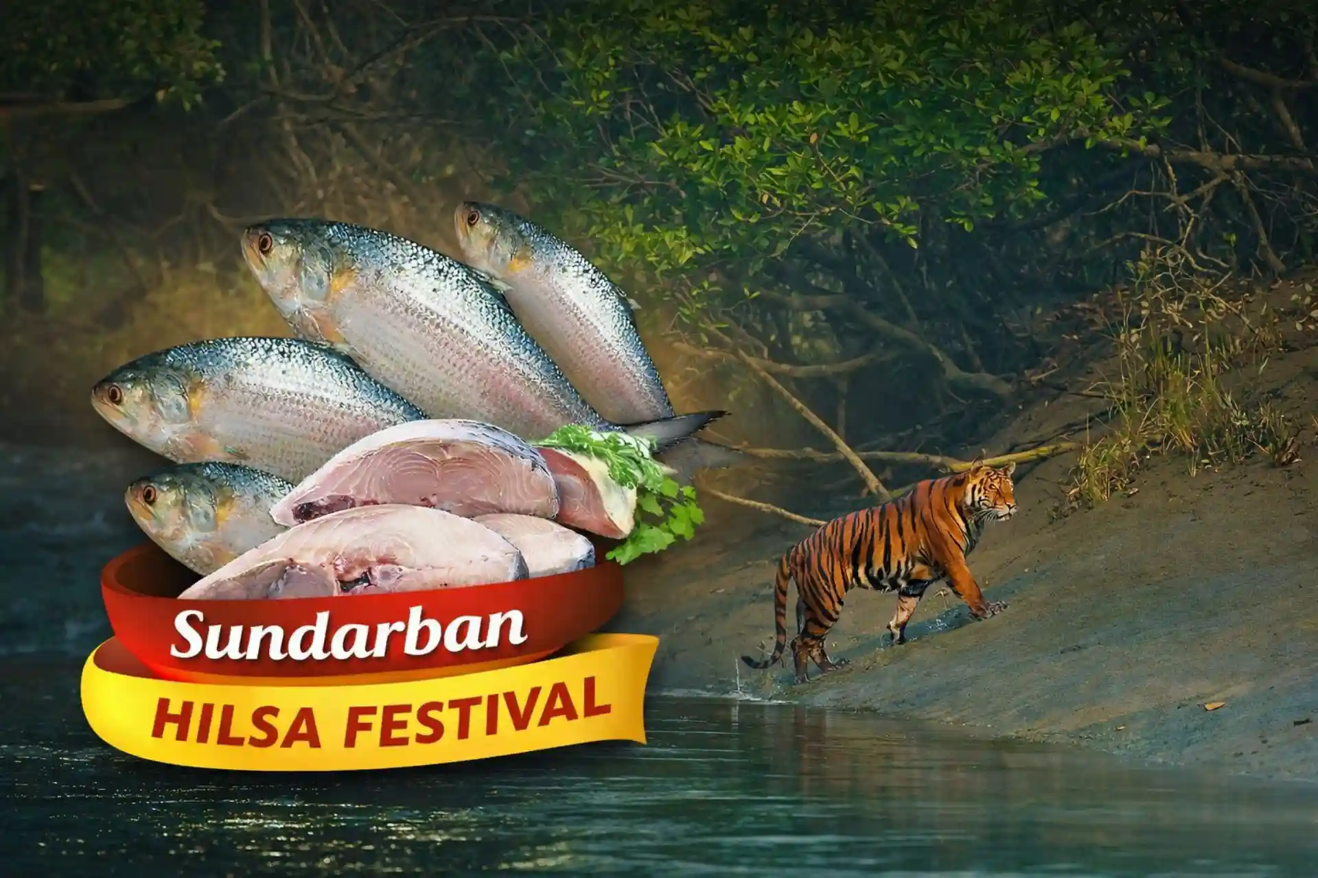 Sundarban Hilsa Festival feature banner with fresh hilsa fish and Royal Bengal Tiger in Sundarbans mangrove forest