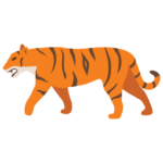 Royal Bengal Tiger