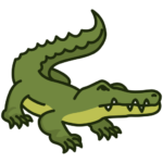 Crocodile