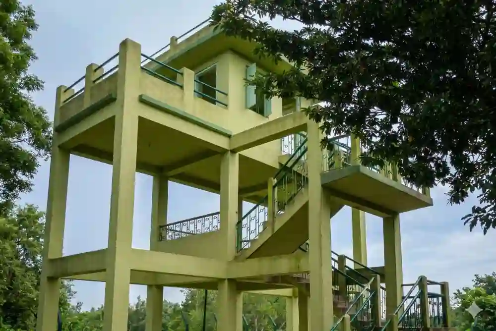 sudhanyakhali forest watchtower view during jungle safari and one day tour experience