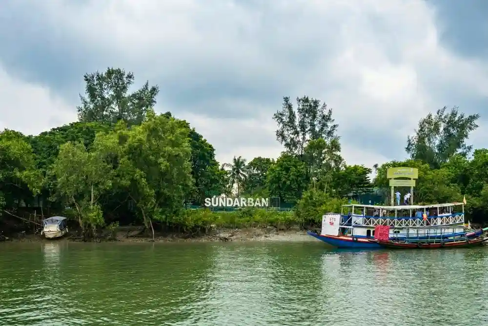 Boat docking near Sundarban watchtower ferry ghat with river and mangrove forest view featuring our sundarban one day tour​