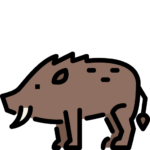 Wild Boar