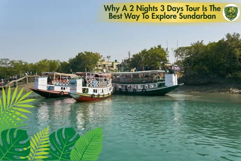 Why A 2 Nights 3 Days Tour Is The Best Way To Explore Sundarban