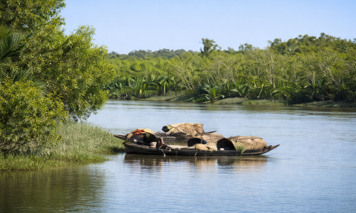 1 Single Day Sundarban Tour Packages