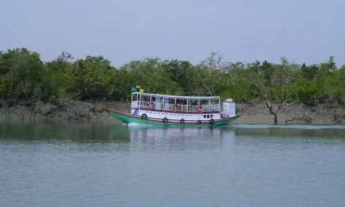 sundarban-boat-safari-mangrove-forest.webp